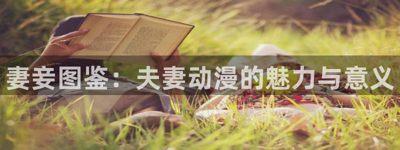 囧次元的官方网站：妻妾图鉴：夫妻动漫的魅力与意义