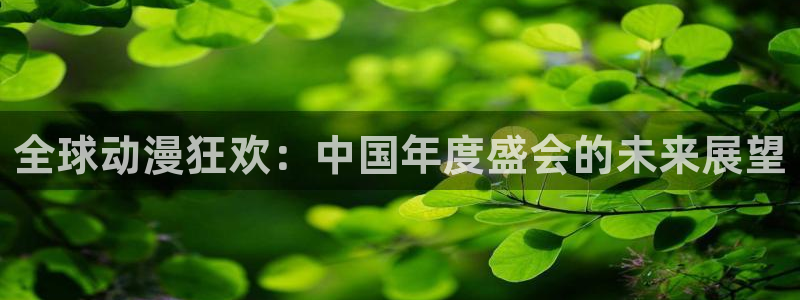 囧次元动漫app正版：全球动漫狂欢：中国年度盛会的未来展望