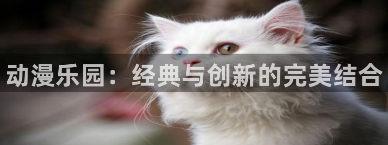 囧次元动漫app下载：动漫乐园：经典与创新的完美结合