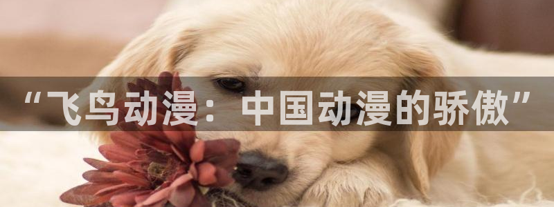 囧次元无广告：“飞鸟动漫：中国动漫的骄傲”