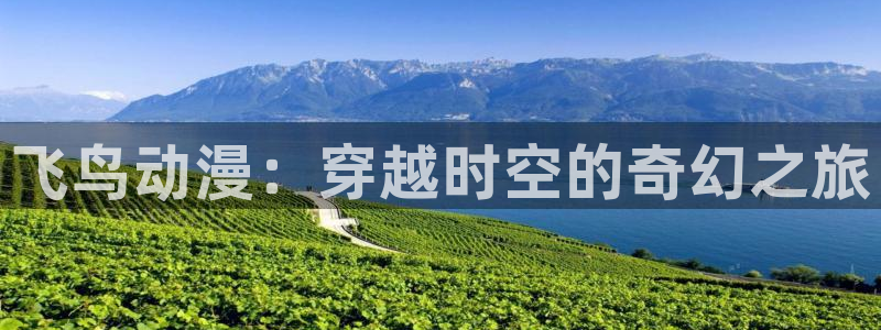 囧次元可看片子版：飞鸟动漫：穿越时空的奇幻之旅