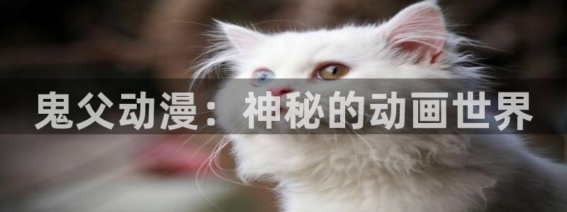 囧次元下载最新版本：鬼父动漫：神秘的动画世界