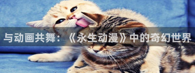 囧次元app正版：与动画共舞：《永生动漫》中的奇幻世界
